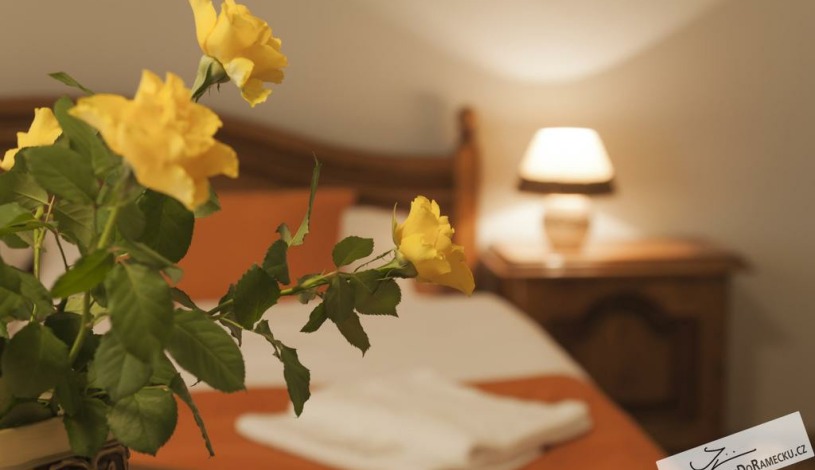 Hotel a Penzion Praděd Thamm Zlaté Hory